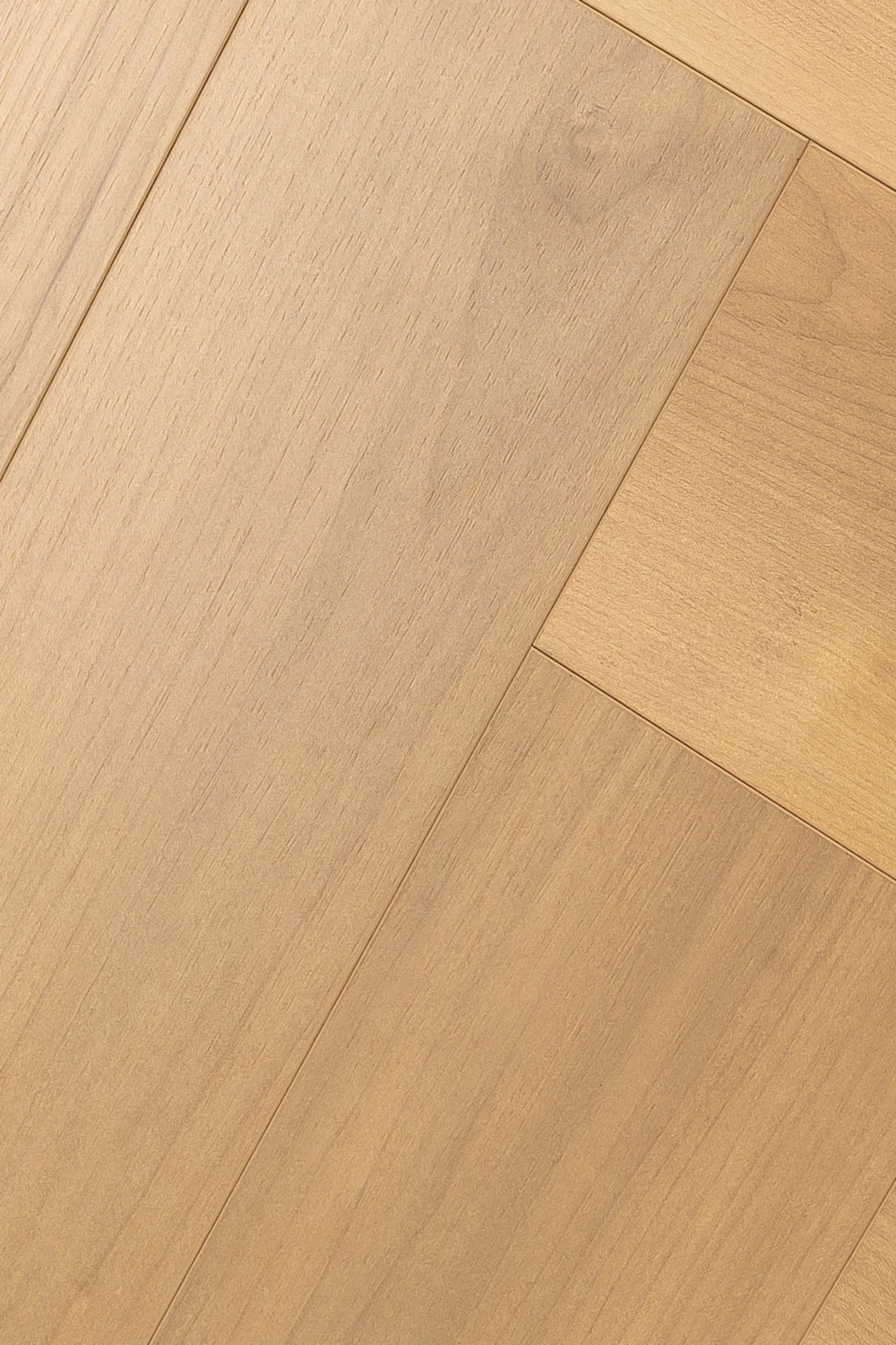 Дуб Ривьера | Rivera oak 1F411
