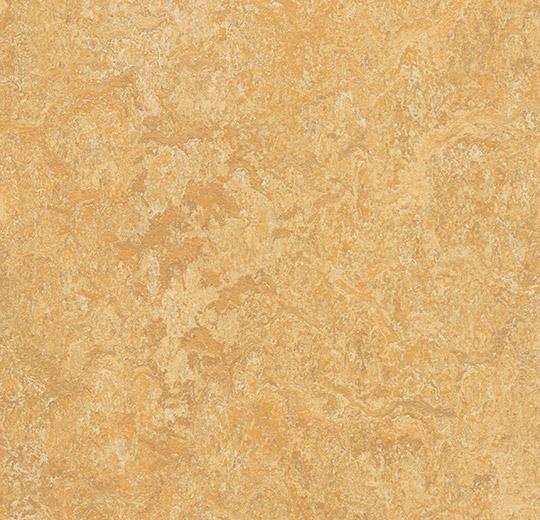 317335 Van Gogh