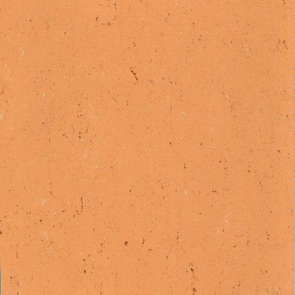 131-078 african orange