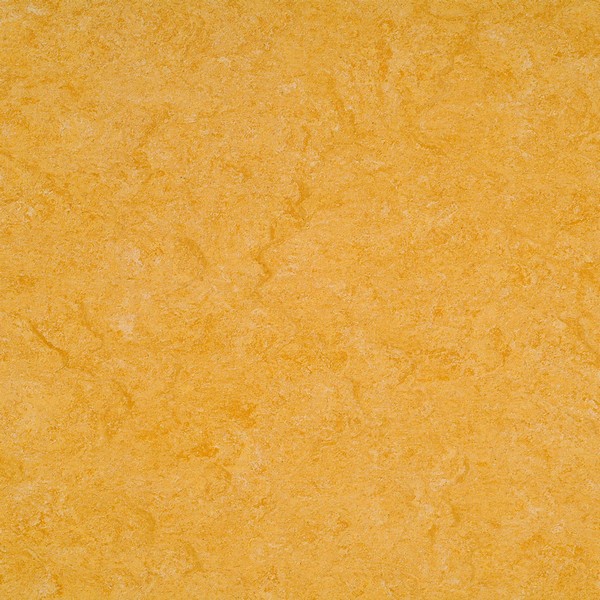 121-072 golden yellow