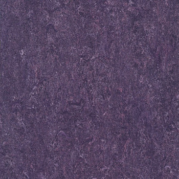 121-128 violet