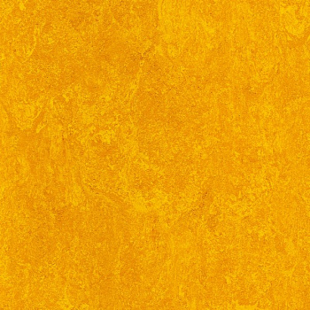 121-172 papaya orange